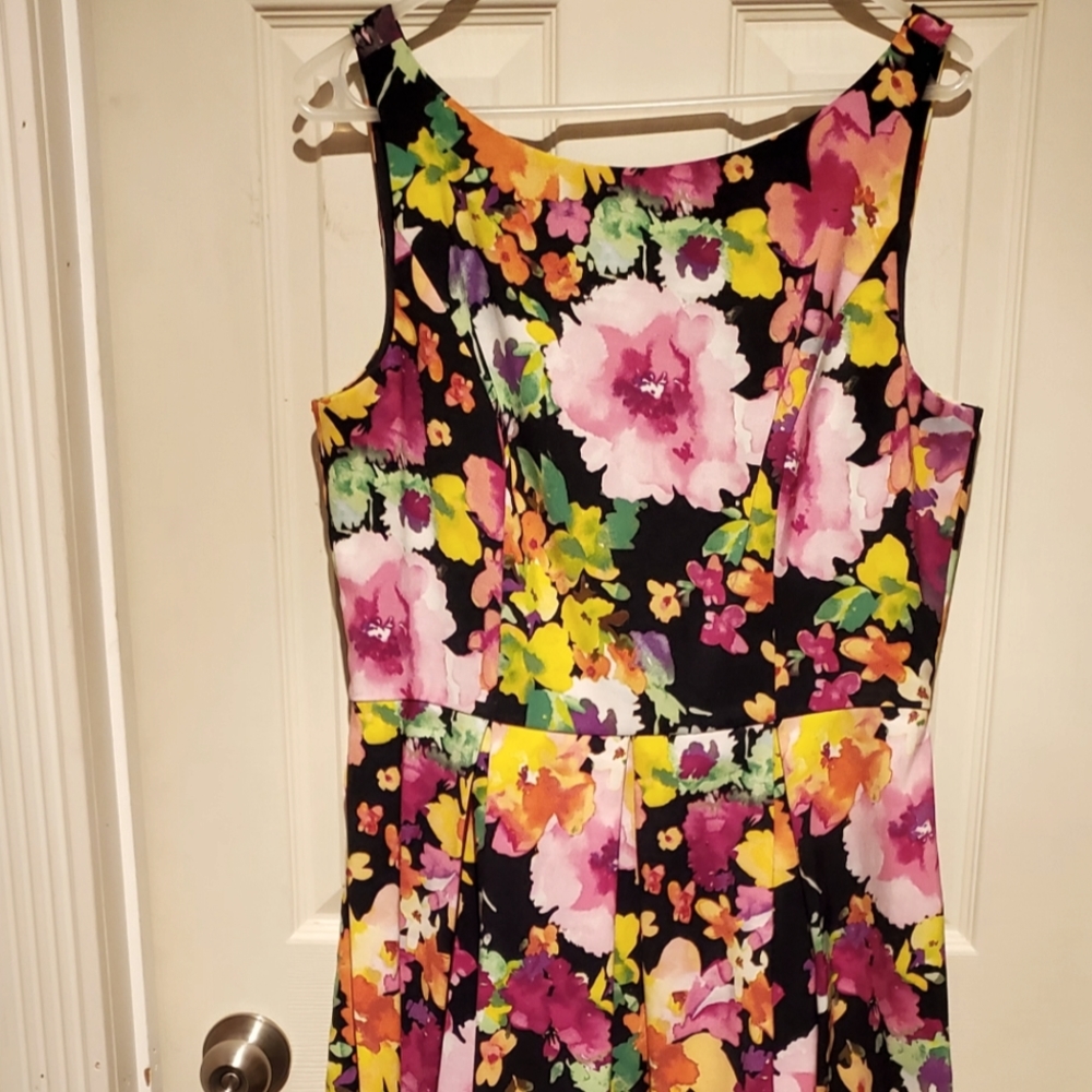 The Limited Floral Pleated Waist Dress